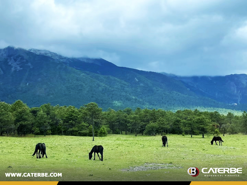 Exploring the Beautiful Lijiang and Shangri-La: An Unforgettable Journey for CATERBE Employees